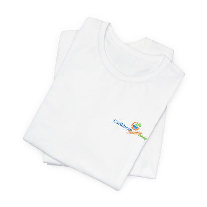 Graphic on Back of the Tropical Vacation Graphic T-Shirt - Cheers to Bikinis and Caribbean Sunshine - Bella + Canvas 3001